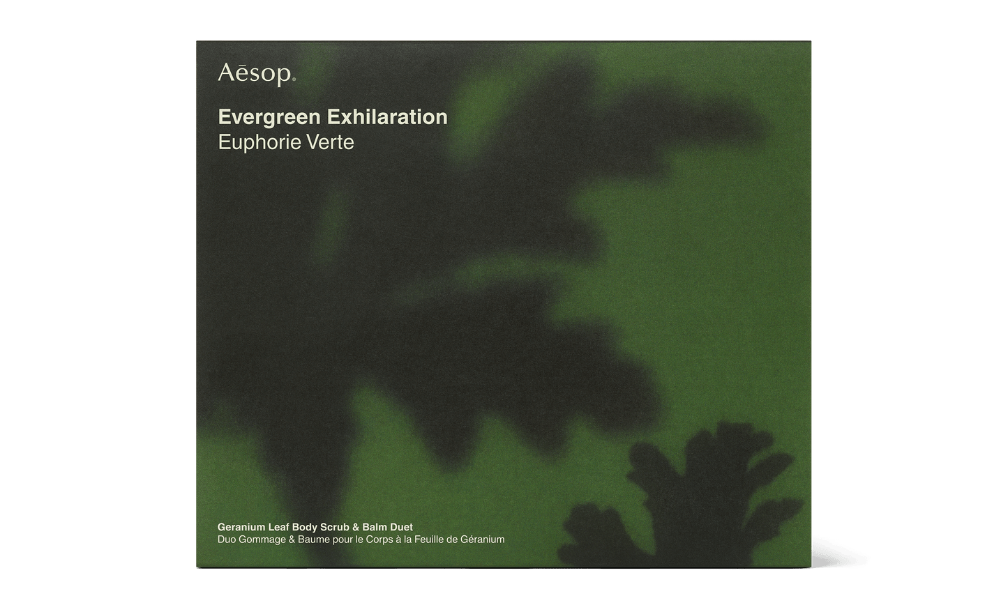 Evergreen Exhilaration