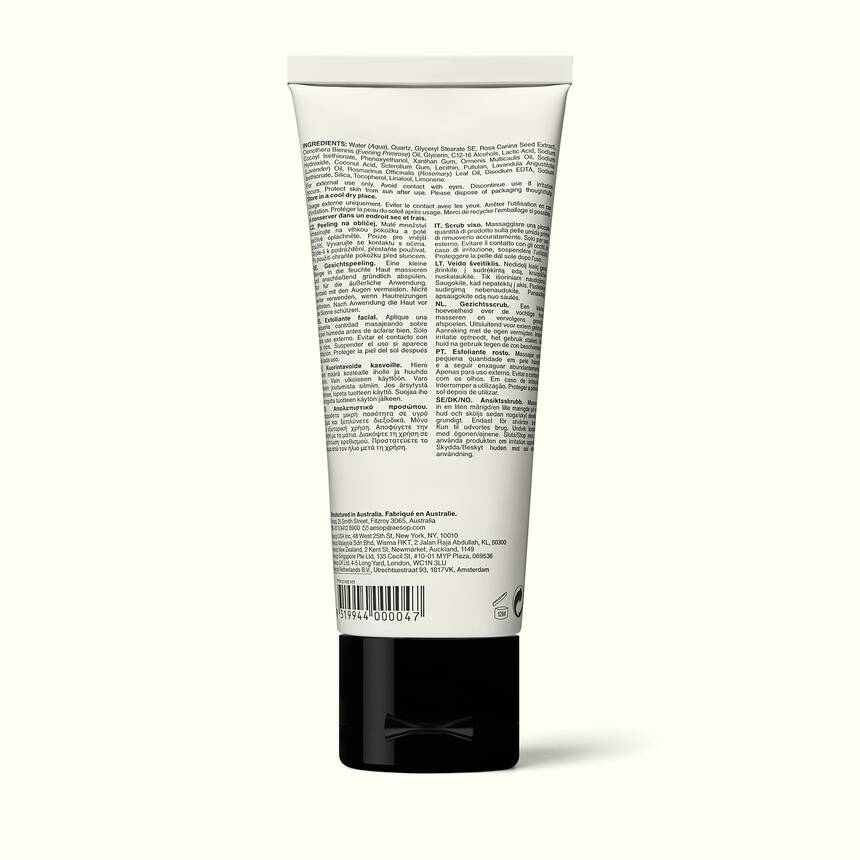 Purifying Facial Exfoliant Paste