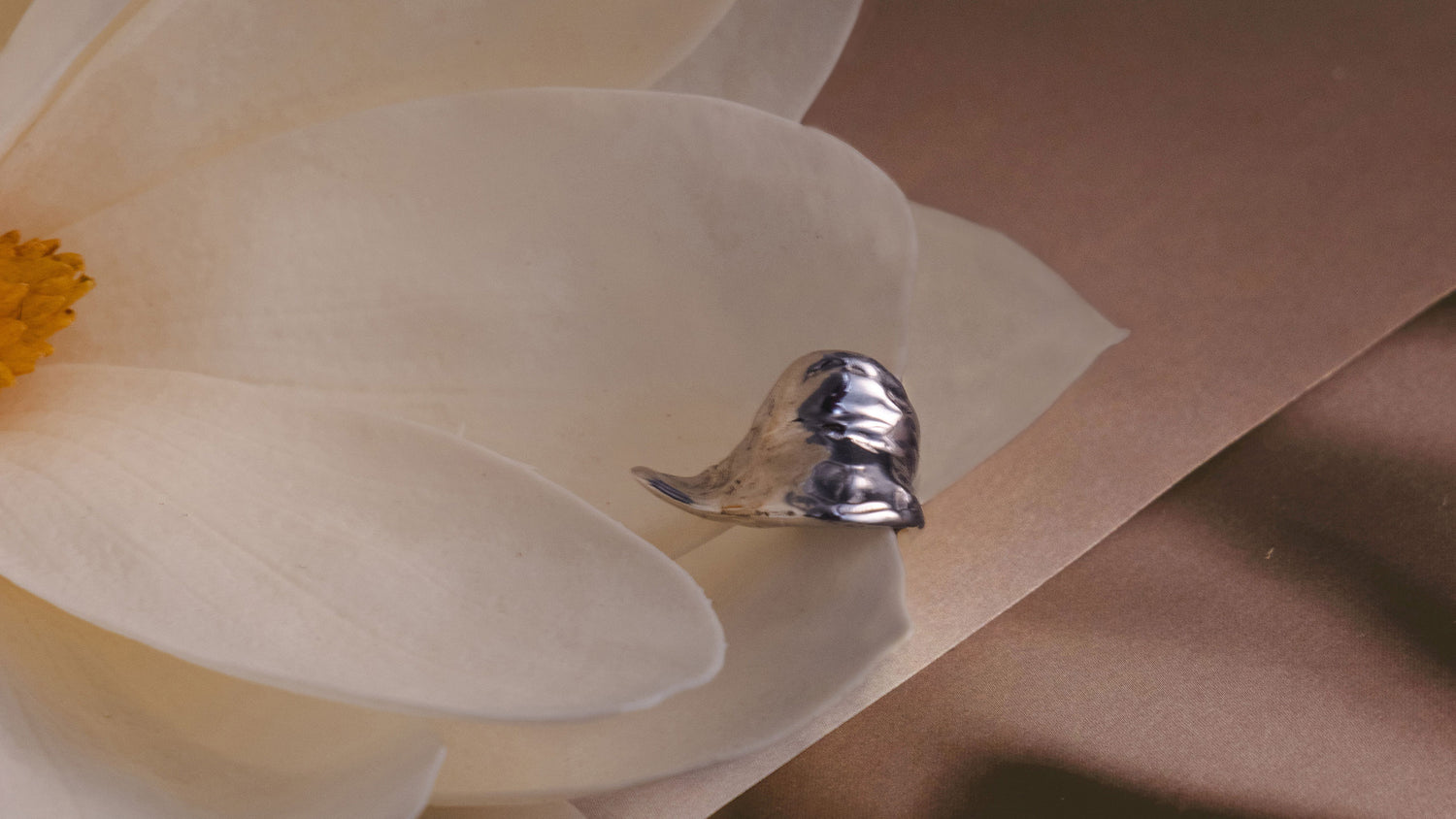 Silver ear cuff placed on a magnolia flower
