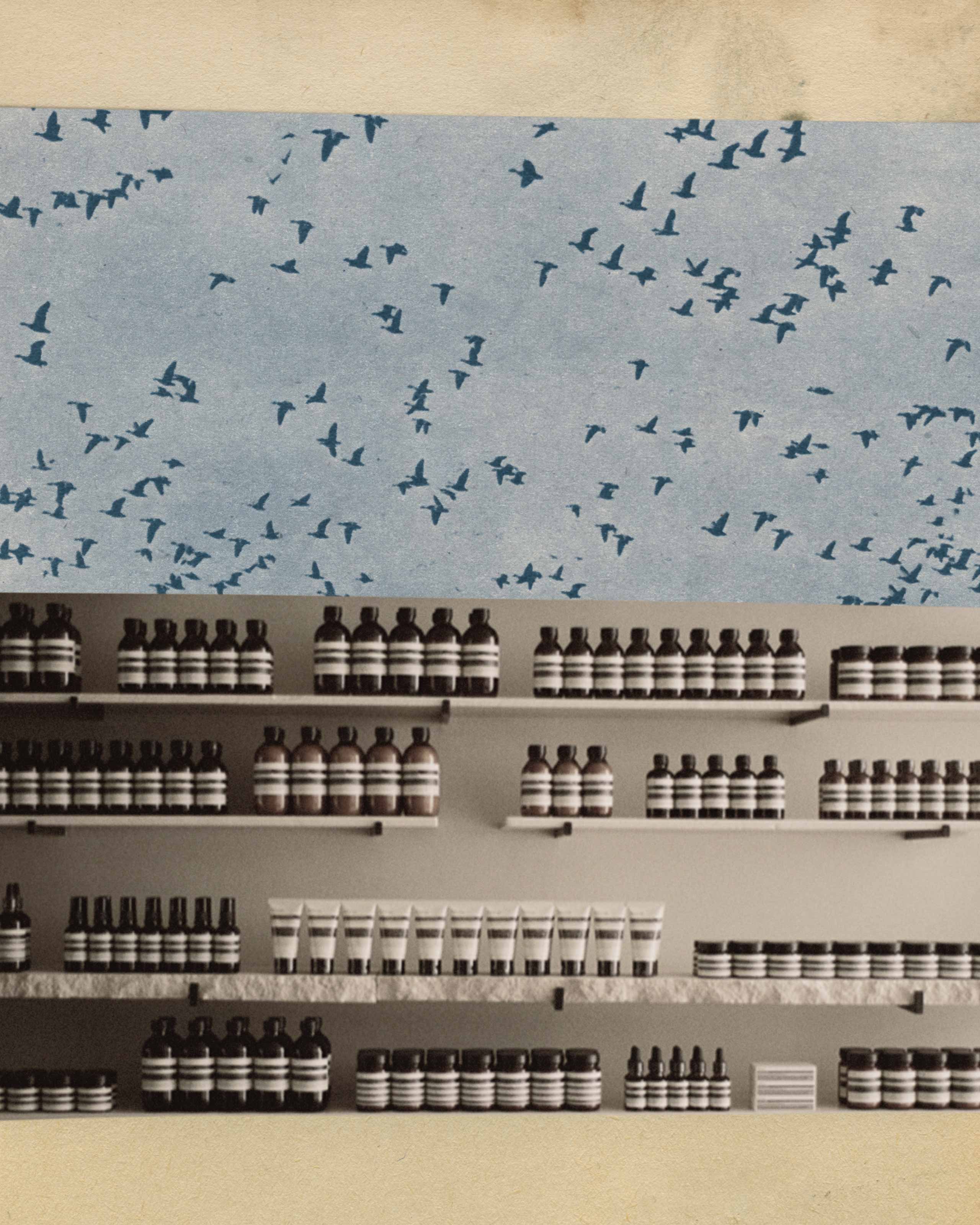 Sustainability at Aesop