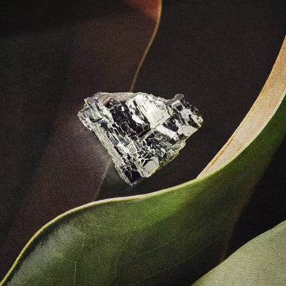 Mineral fragment resting on a broad green leaf.