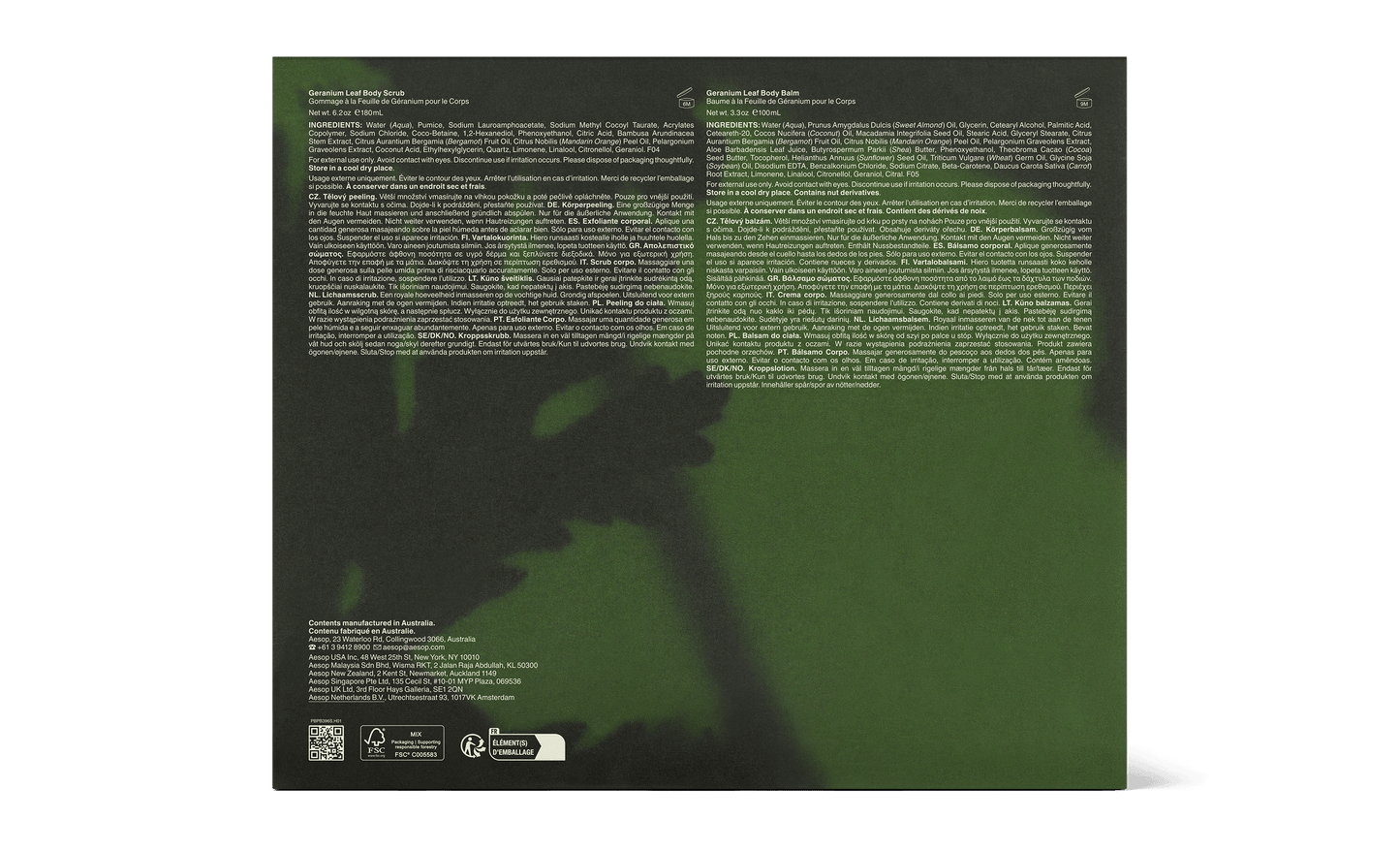 Evergreen Exhilaration