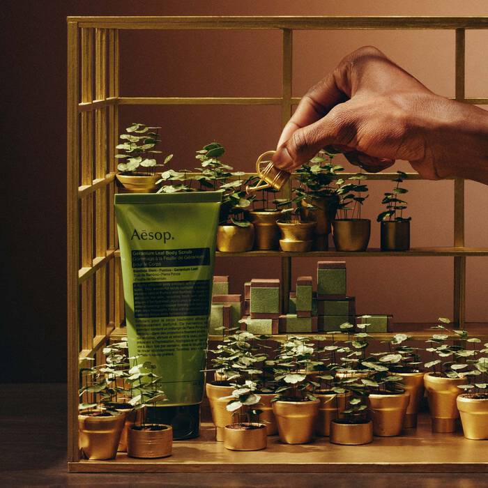 Party in the Greenhouse