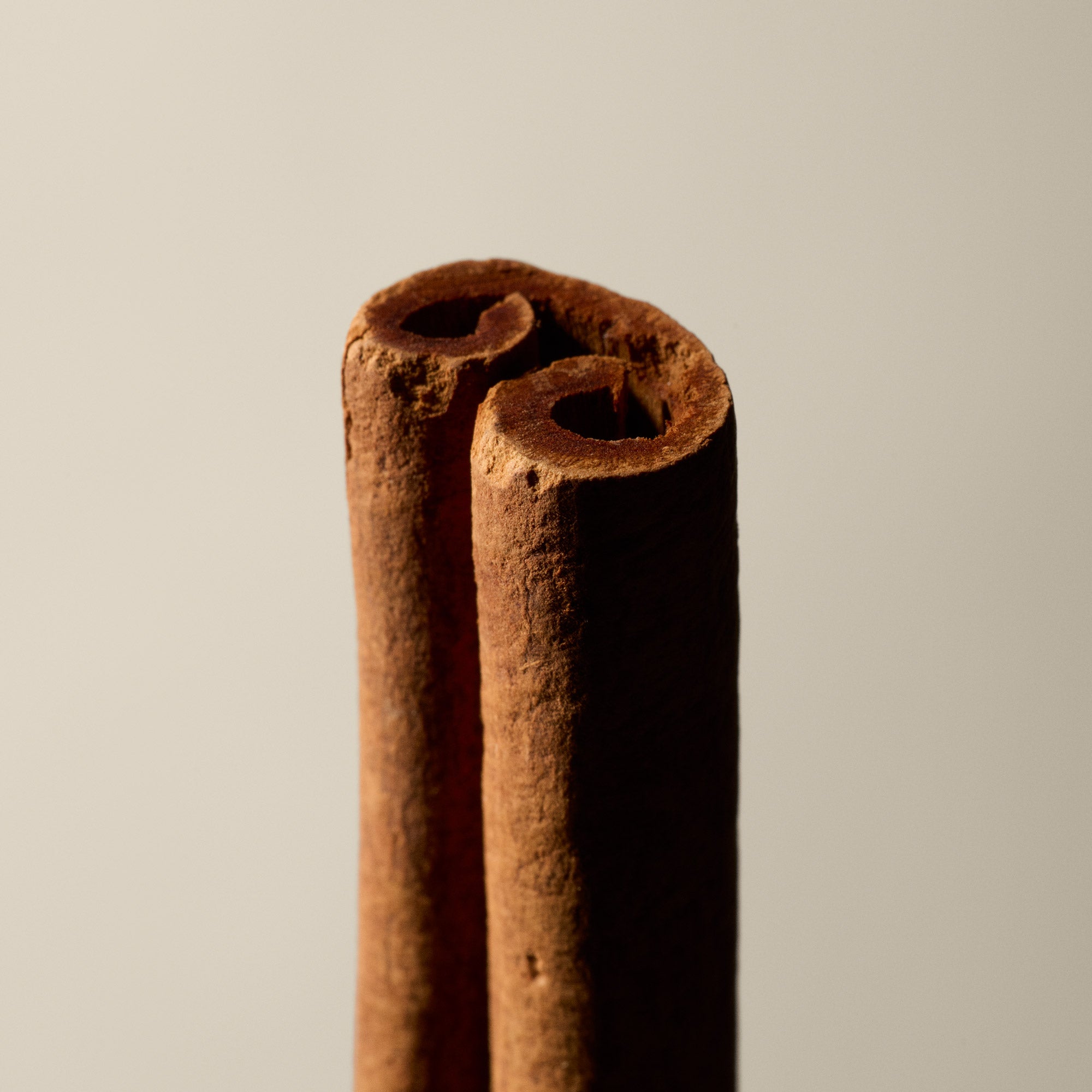 Aesop Sarashina Aromatique Incense | Aesop SG