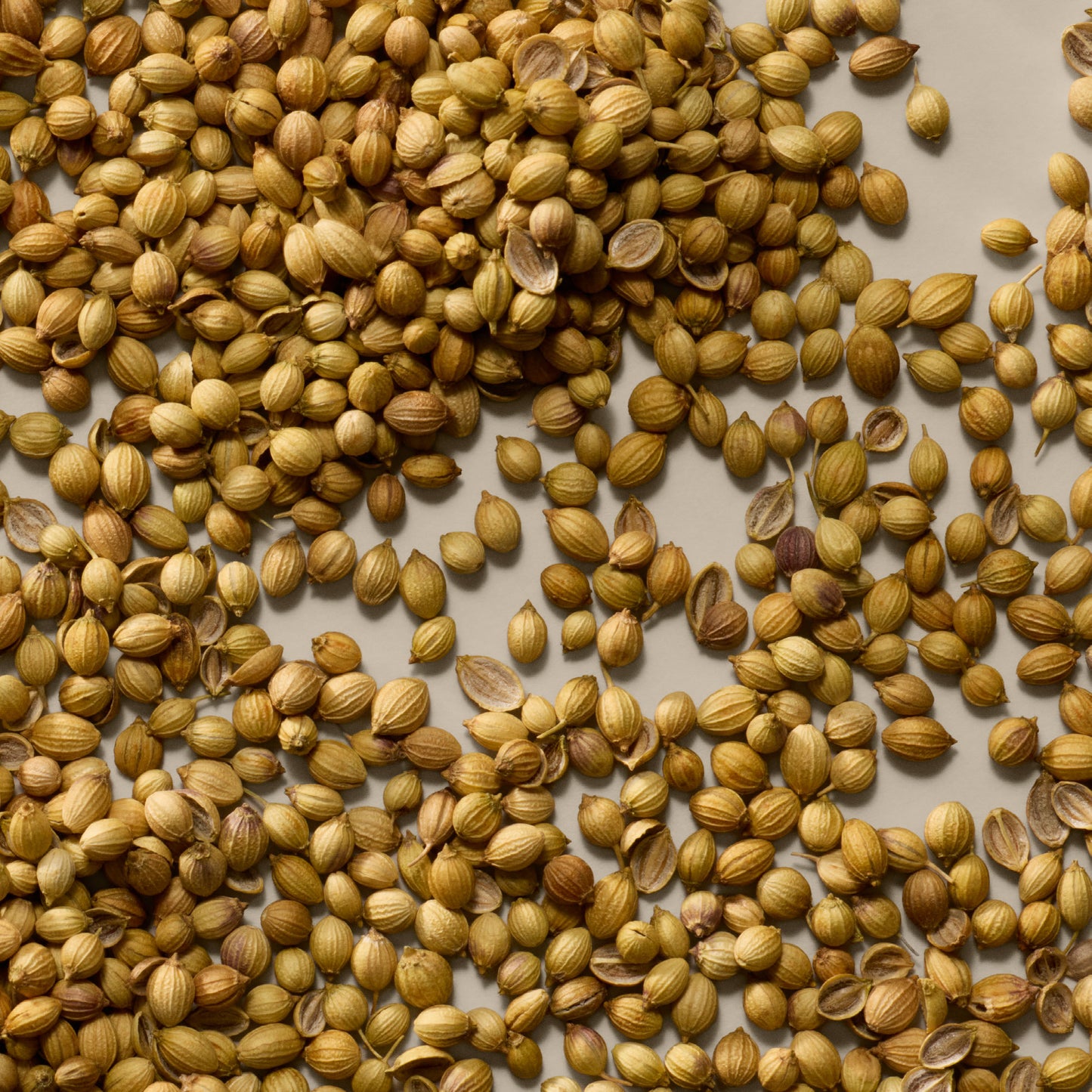 Coriander Seed Body Cleanser