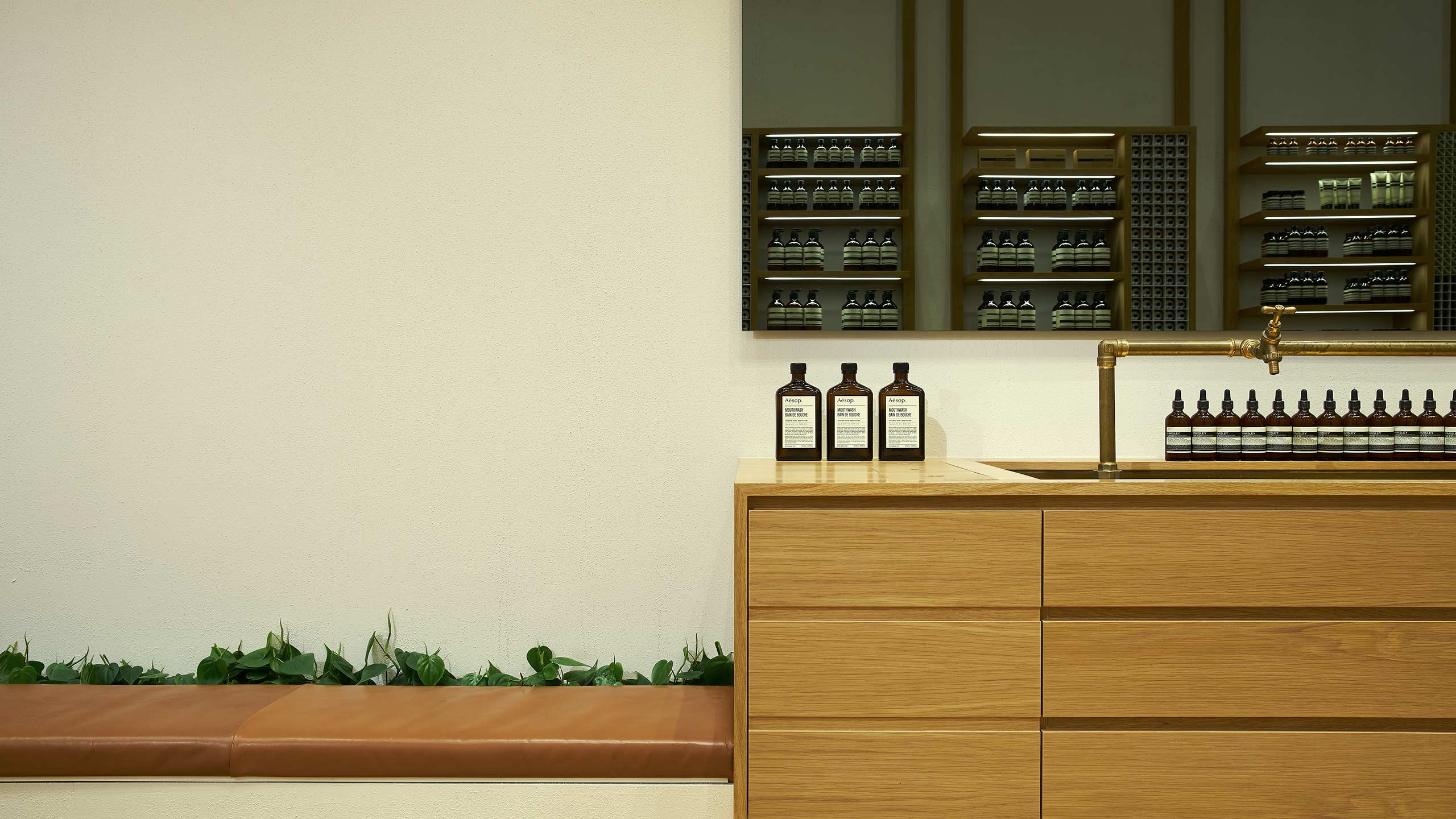 The basin in Aesop Westgate, with some leaves off to the side.